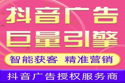 某企业通过百度SEM实现ROI最大化的案例